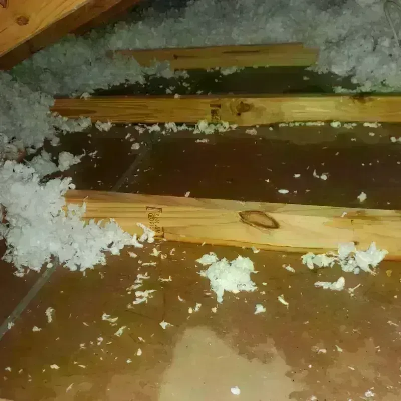 Attic Water Damage in Sandstone, MN